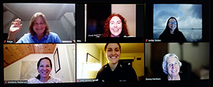 Image showing the online meeting presenters.