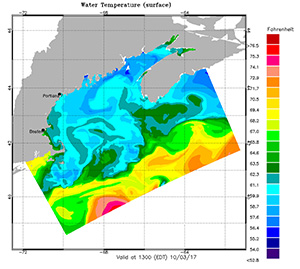 Gulf of Maine Operational Forecast System Results