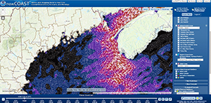 Depiction of surface water currents from the Gulf of Maine <br />
Operational Forecast System.