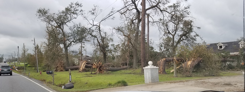 view from NRT-Stennis's vehicle shows heavy debris, fallen, and snapped trees