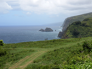 Image of the northeast coast of the Big Island of Hawaii at the Pololu Valley Lookout.