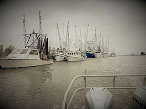 An image of the Darien River fishing fleet taken from the Navigation Response Team survey vessel.