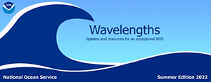 A graphic showing the website banner for the Wavelengths newsletter.