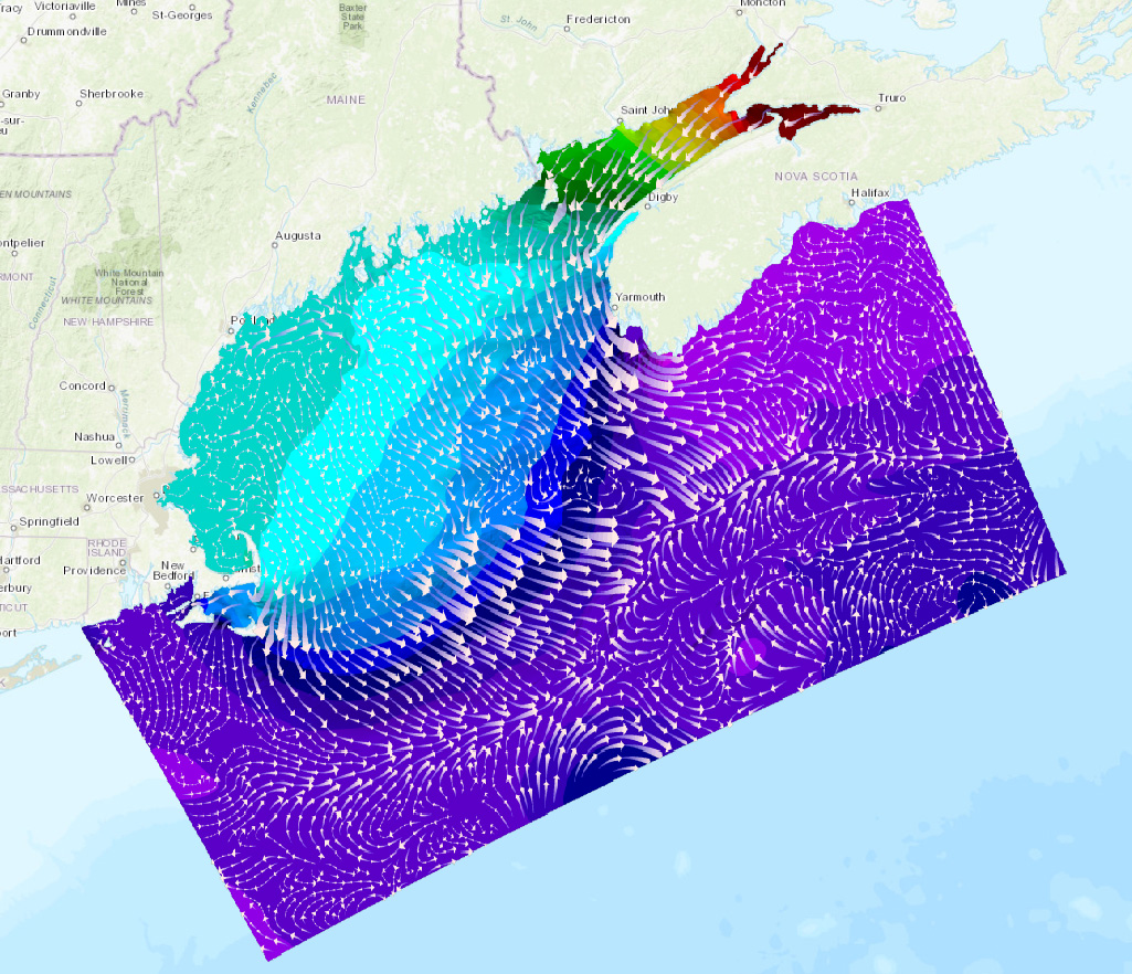 Sample display of the Gulf of Maine Operational Forecast System’s nowcast output of the surface current field (white arrows) and water levels (background color) on 12:00 UTC, January 10, 2018.