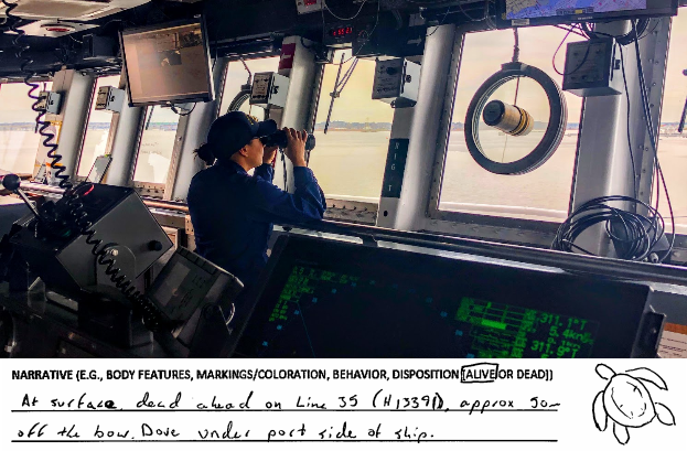 AXO Lt. Cali DeCastro spots turtles from the bridge. An excerpt from an entry in Thomas Jefferson’s Sea Turtle Observation log.