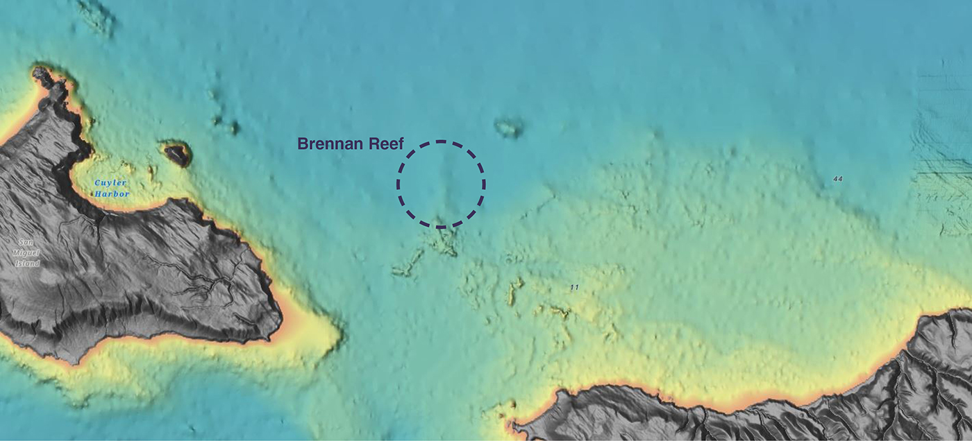 Brennan Reef, shown via shaded relief on the National Centers for Environmental Information bathymetric data viewer.