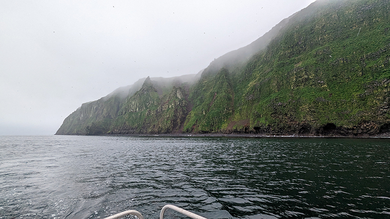 Cliffs on the northside of St. George which is home to hundreds of bird species. 