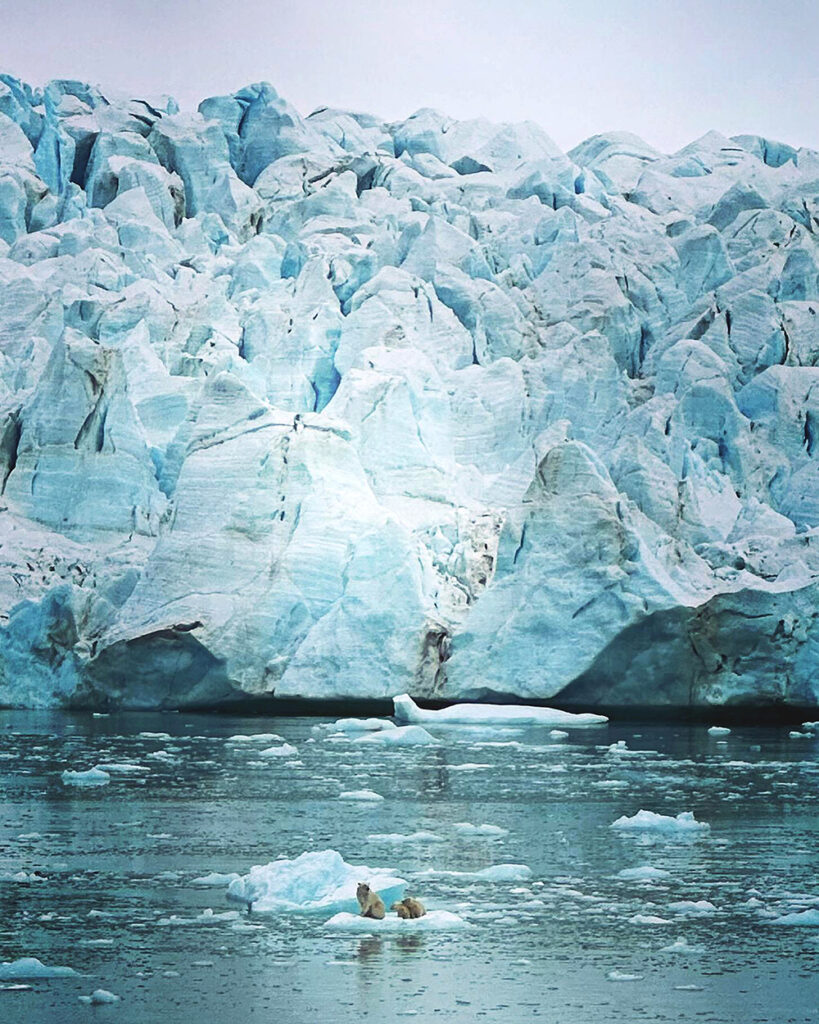 An image of a polar bear with two cubs sitting on an iceberg.